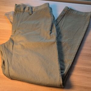 Banana Republic Italian Chinos